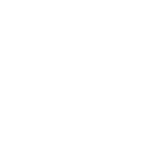 Icon-Ausweis-VF-B