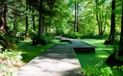 Bonatischer Garten