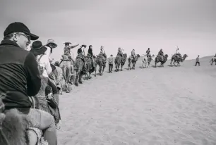 Tourists riding camels
