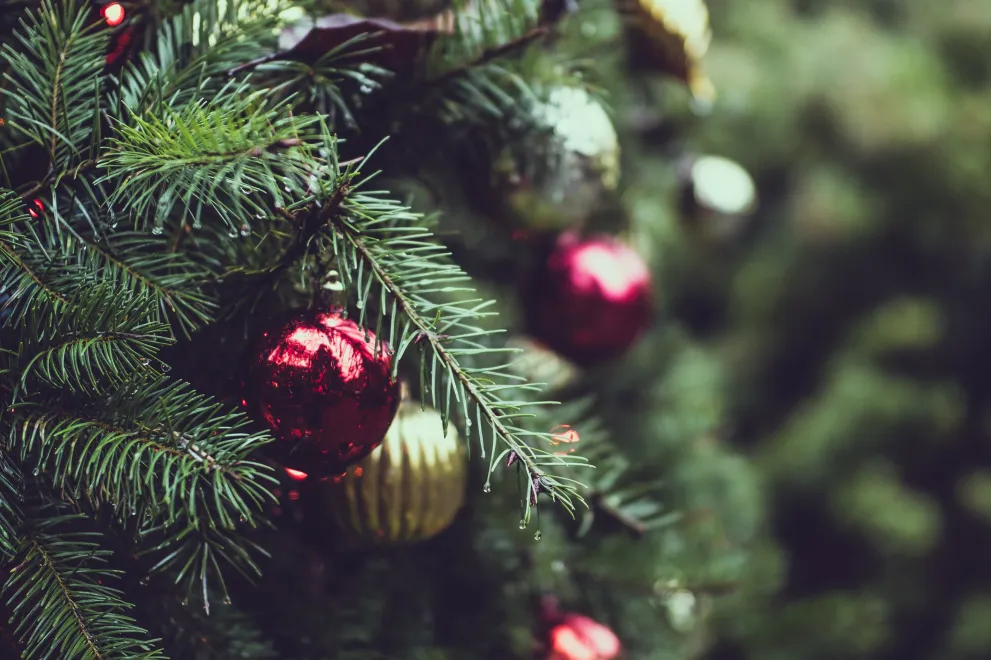 close up of a Christmas tree with ornaments