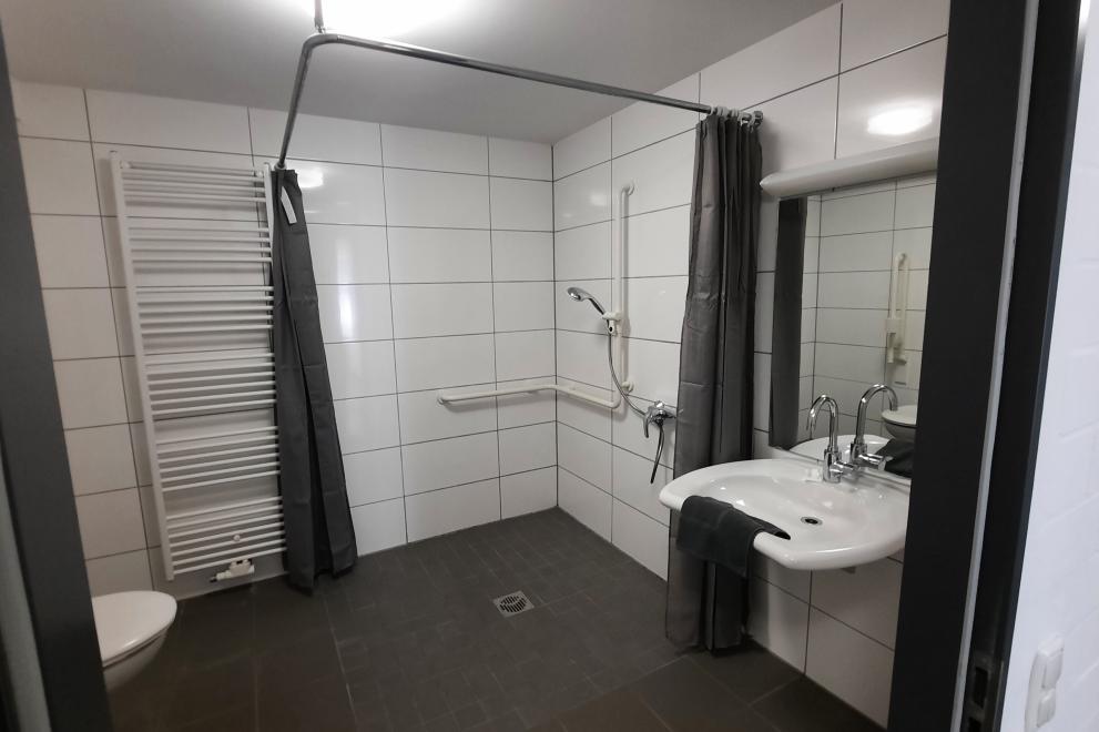 tiled bathroom with WC, ground-level ans spacious shower, sink, and mirror