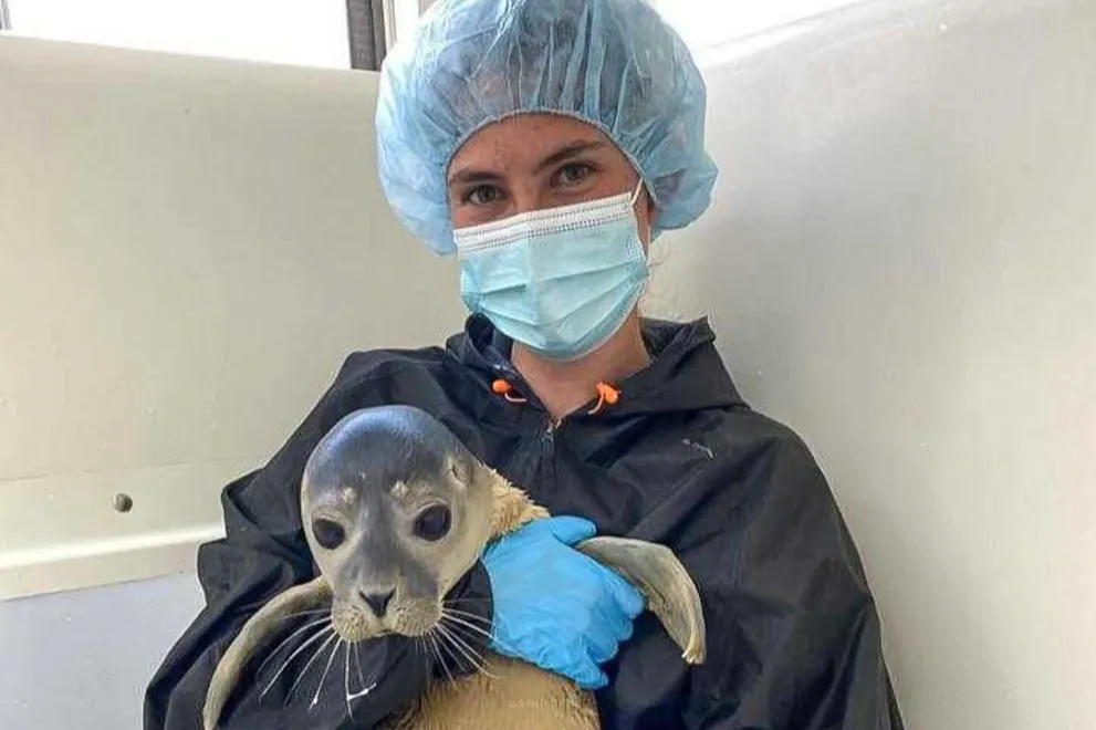 Johanna in the Netherlands