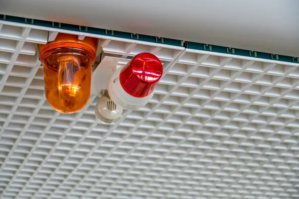 Emergency Light and Emergency Siren